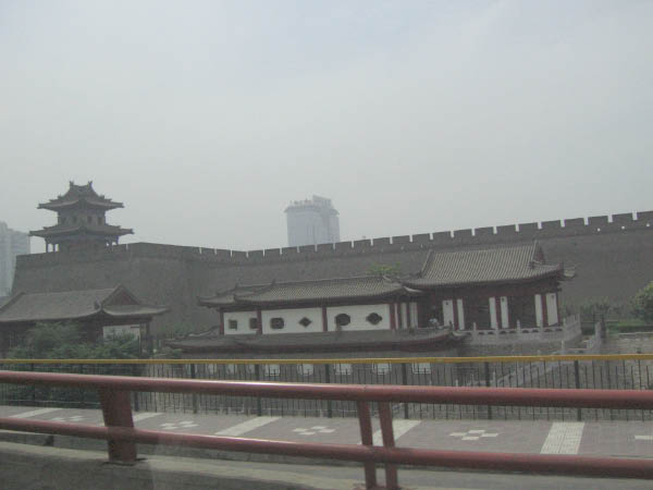 IMG_0594