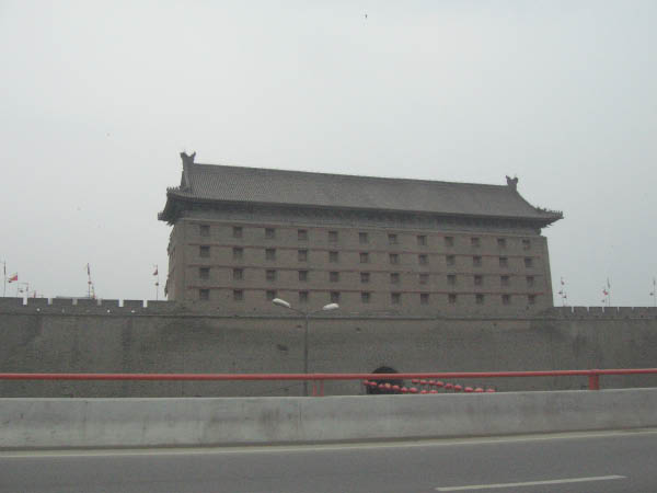 IMG_0649