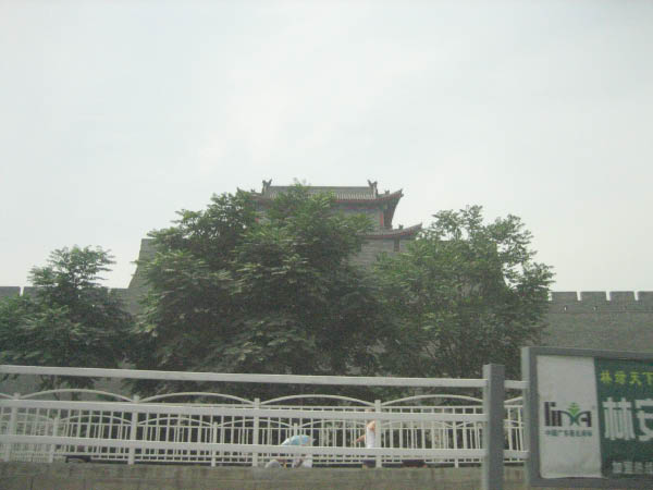 jcIMG_0476