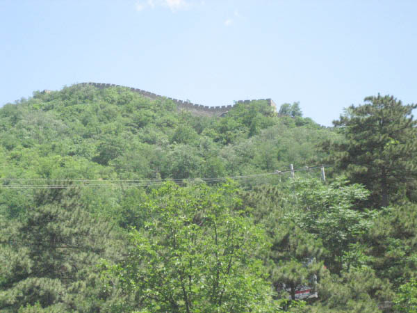 jcIMG_0497