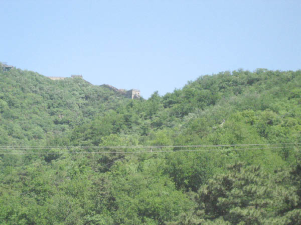 jcIMG_0498