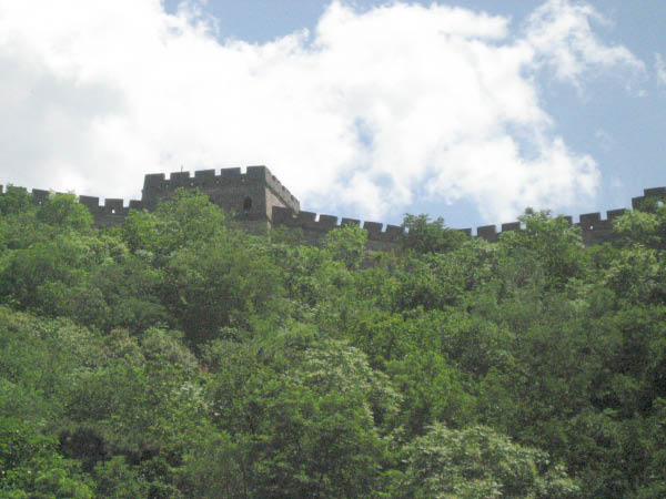 jcIMG_0502