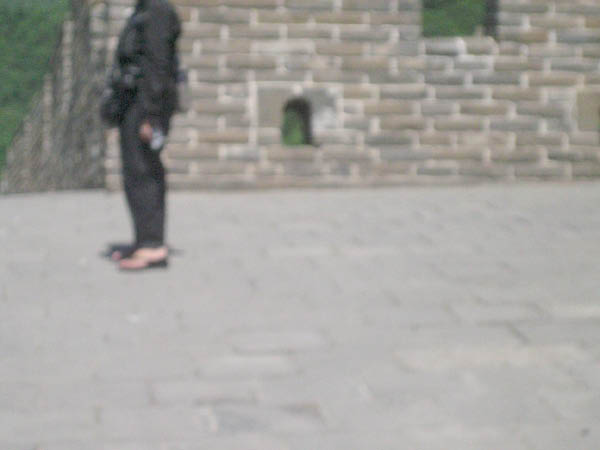 jcIMG_0517