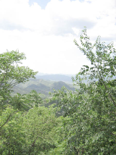 jcIMG_0530