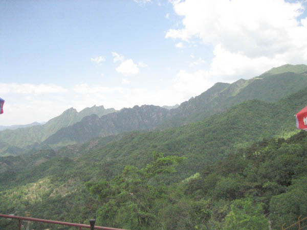 jcIMG_0536