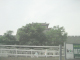 jcIMG_0476