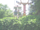 jcIMG_0491