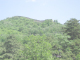 jcIMG_0497