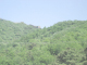 jcIMG_0498