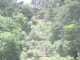 jcIMG_0499