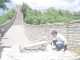 jcIMG_0527