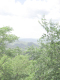 jcIMG_0530